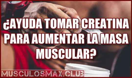 ¿Ayuda tomar Creatina para aumentar la masa muscular? ✅