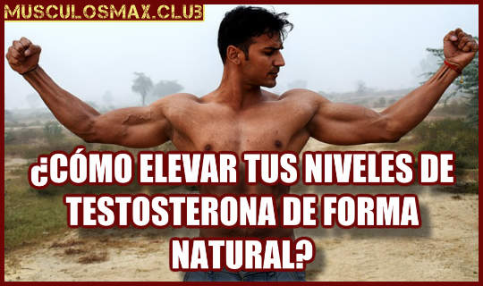 ¿Cómo elevar la testosterona de forma natural?