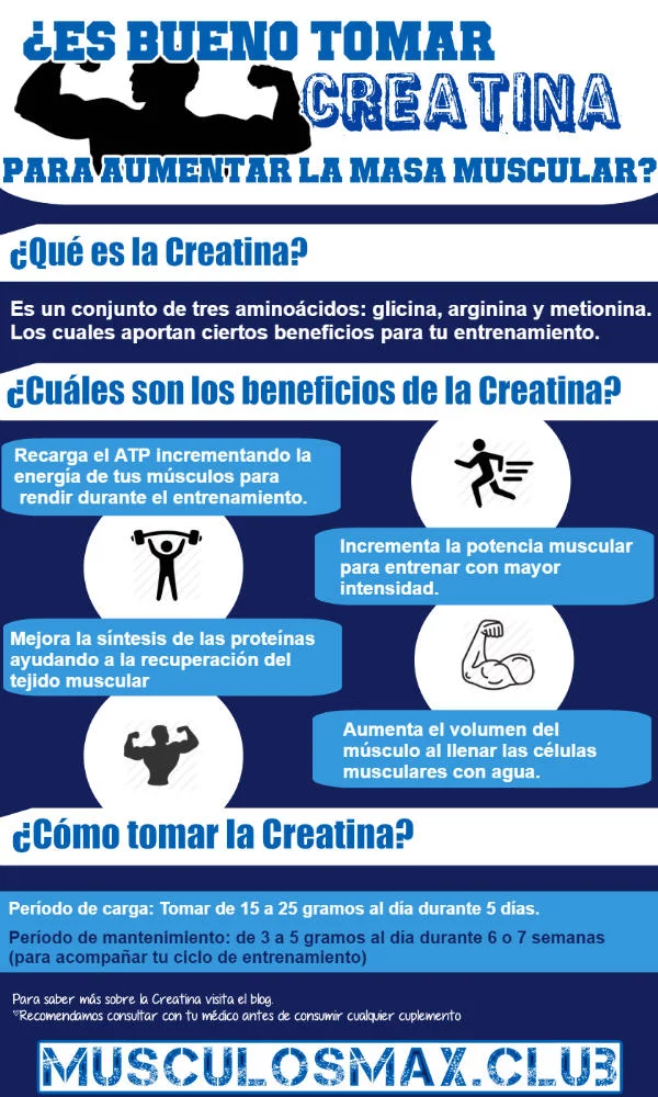 ¿Es bueno tomar Creatina para aumentar la masa muscular?