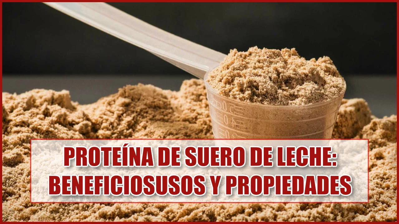 Proteína de Suero de Leche: Beneficios, usos y propiedades ✅