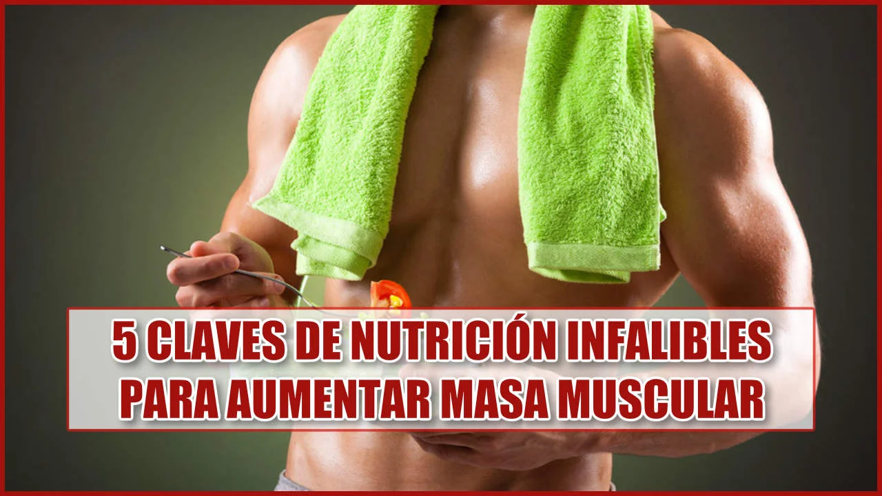 5 claves de nutrición para aumentar masa muscular
