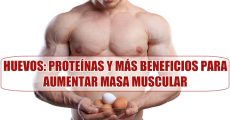 ¿Por qué comer Huevos para Ganar Masa Muscular? Proteínas y otros beneficios