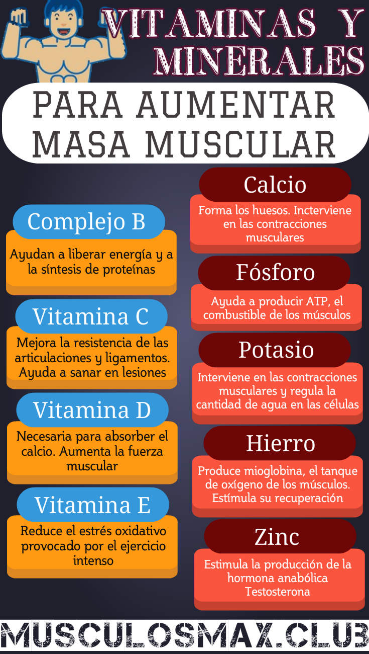 Vitaminas y minerales para aumentar masa muscular Infografía