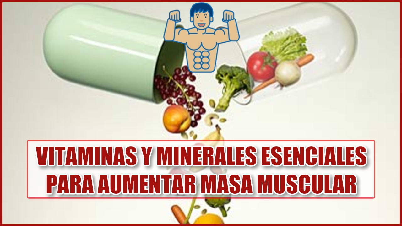 Vitaminas y minerales esenciales para Aumentar Masa Muscular