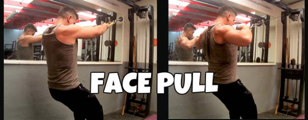 Face Pull