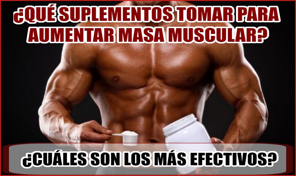 ¿Qué Suplementos tomar para aumentar masa muscular rápidamente? 18 que suplementos tomar para aumentar masa muscular rapidamente