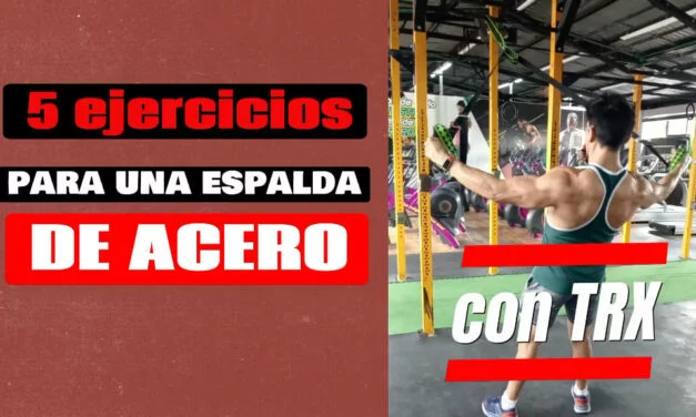 5 Ejercicios para Espalda con TRX