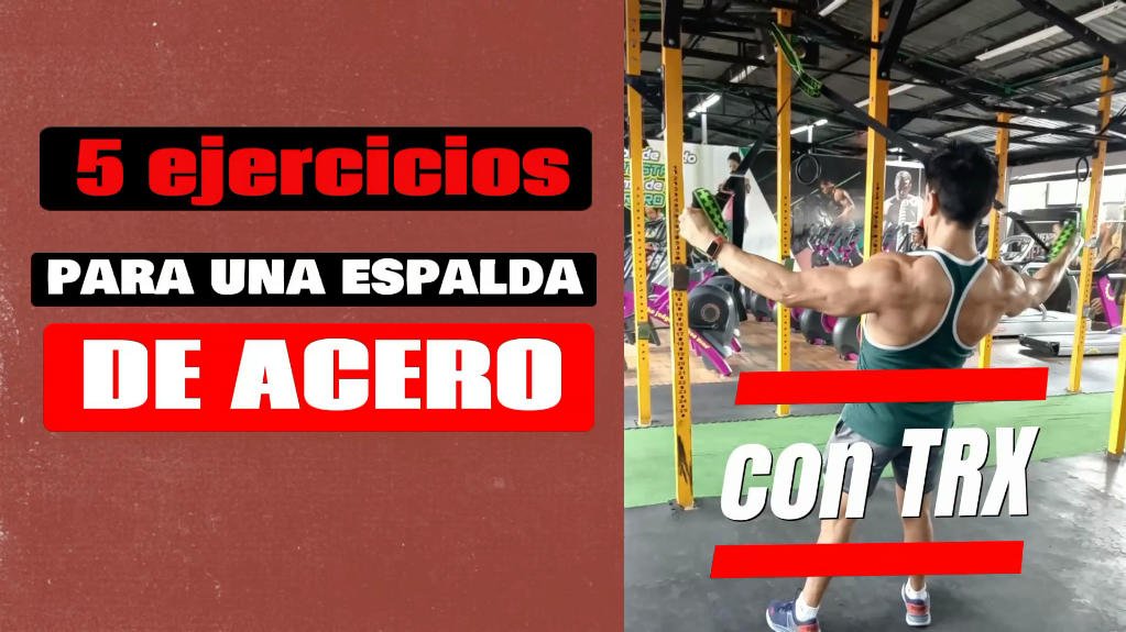 5 Ejercicios para Espalda con TRX 14 5 Ejercicios para espalda con TRX
